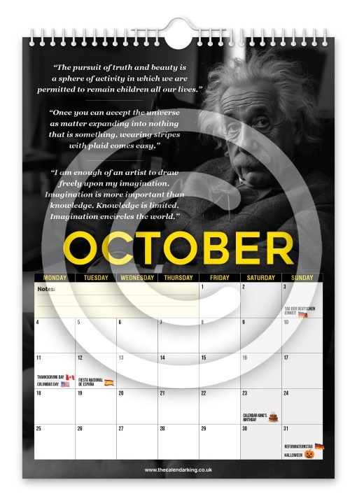Albert Einstein Novelty Calendar - Image 11
