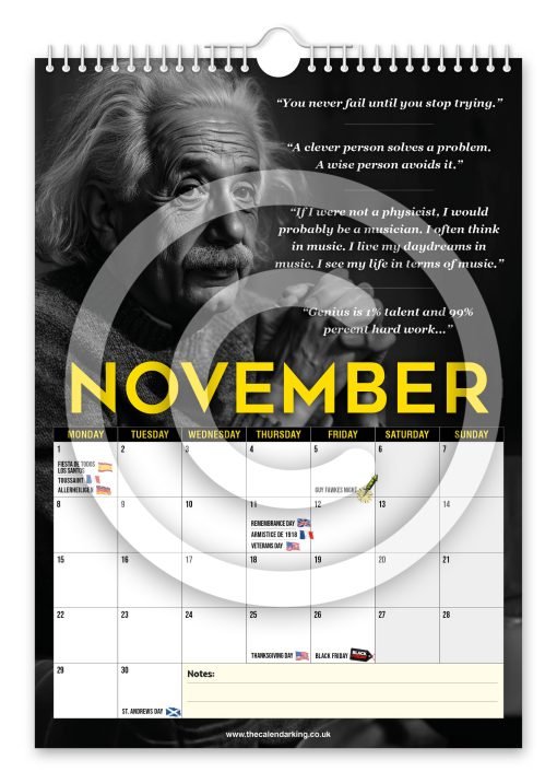 Albert Einstein Novelty Calendar - Image 12