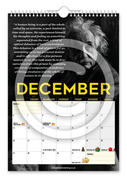 Albert Einstein Novelty Calendar - Image 13