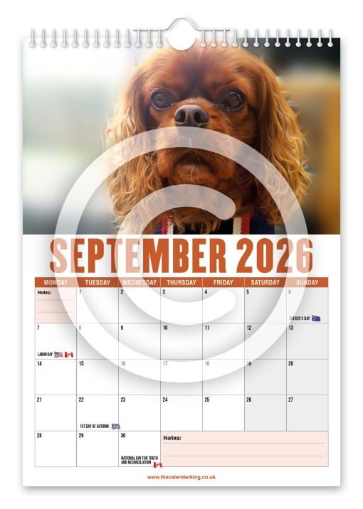 Cavalier King Charles Spaniel Novelty Calendar - Image 10