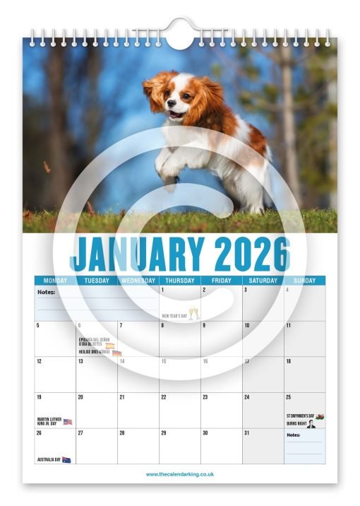 Cavalier King Charles Spaniel Novelty Calendar - Image 2