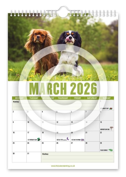 Cavalier King Charles Spaniel Novelty Calendar - Image 4