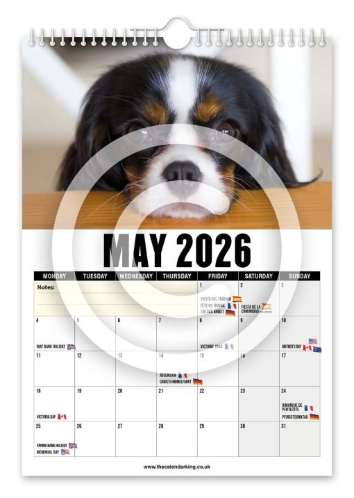 Cavalier King Charles Spaniel Novelty Calendar - Image 6