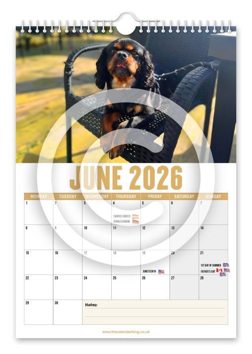 Cavalier King Charles Spaniel Novelty Calendar - Image 7