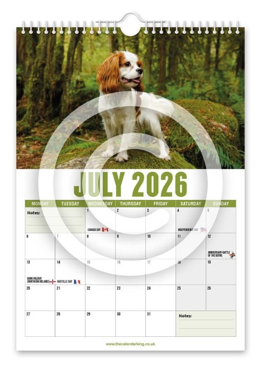 Cavalier King Charles Spaniel Novelty Calendar - Image 8