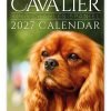 Cavalier King Charles Spaniel Novelty Calendar