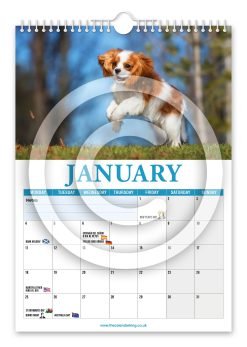 Alternative view of Cavalier King Charles Spaniel Novelty Calendar