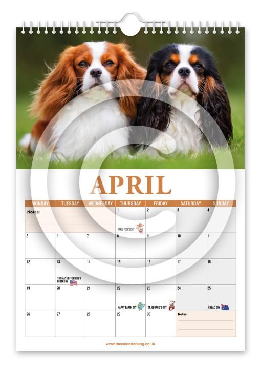 Cavalier King Charles Spaniel Novelty Calendar - Image 5