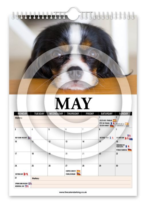 Cavalier King Charles Spaniel Novelty Calendar - Image 6