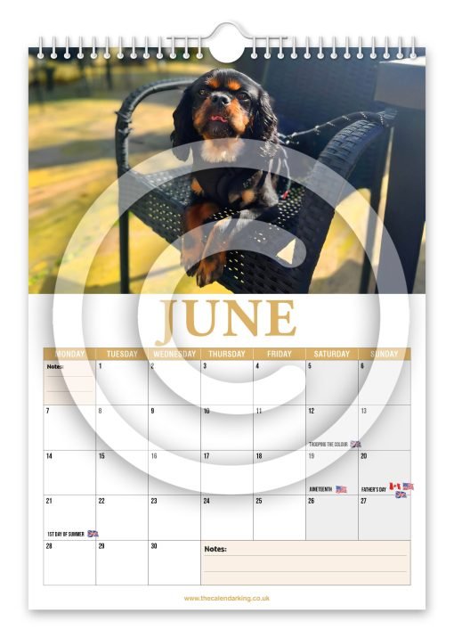 Cavalier King Charles Spaniel Novelty Calendar - Image 7