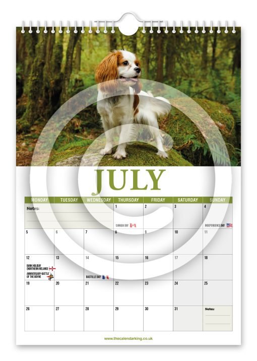 Cavalier King Charles Spaniel Novelty Calendar - Image 8