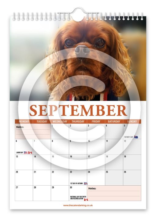 Cavalier King Charles Spaniel Novelty Calendar - Image 10