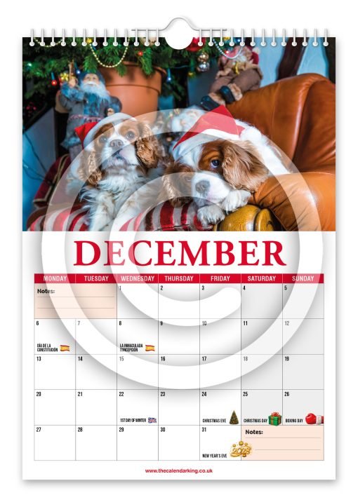 Cavalier King Charles Spaniel Novelty Calendar - Image 13