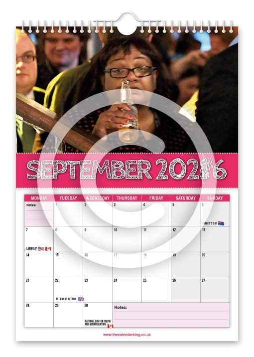 Diane Abbott Novelty Calendar - Image 10