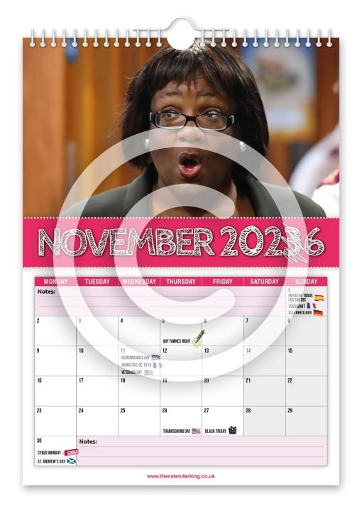 Diane Abbott Novelty Calendar - Image 12