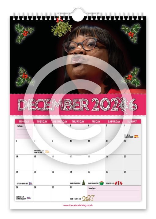 Diane Abbott Novelty Calendar - Image 13