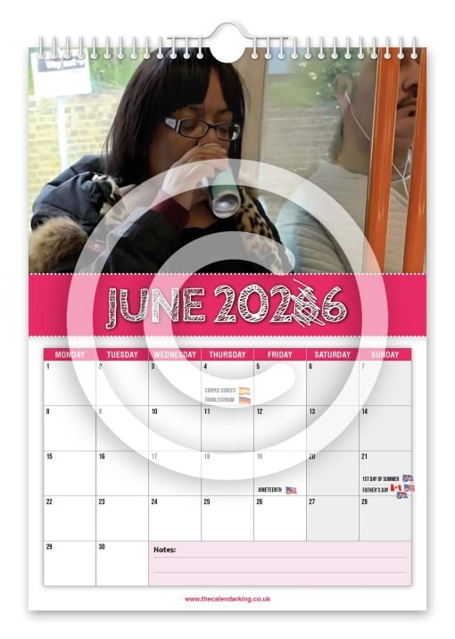 Diane Abbott Novelty Calendar - Image 7