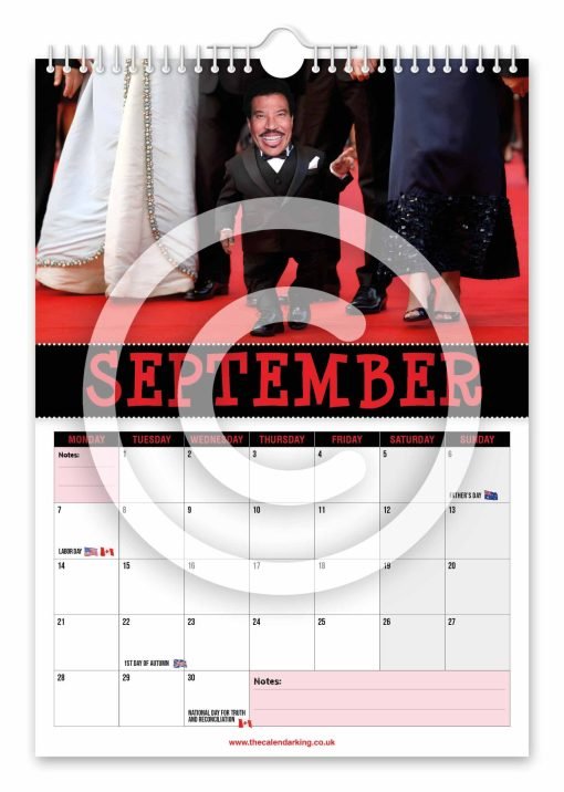 Lionel Titchie Novelty Calendar - Image 10