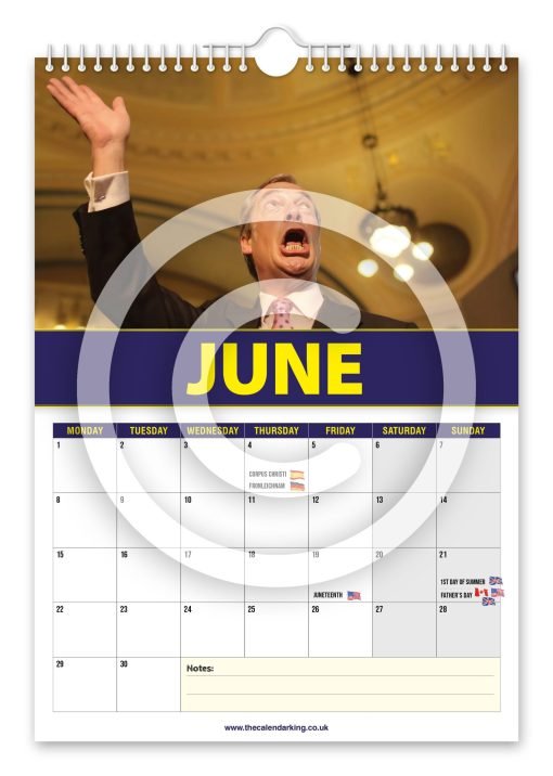 Nigel Farage Novelty Calendar - Image 7