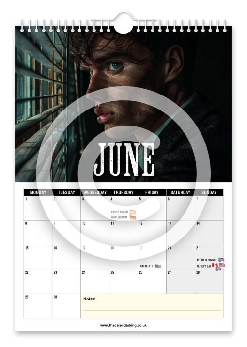 Peaking Blinders Novelty Calendar - Image 7