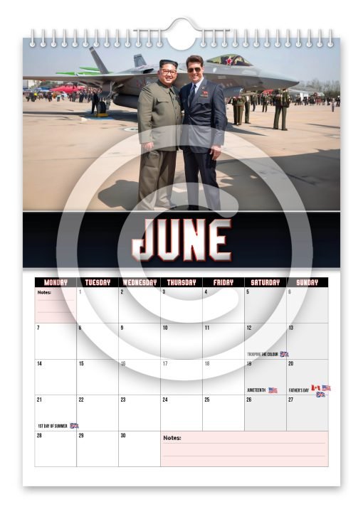 Top Un Novelty Calendar - Image 7