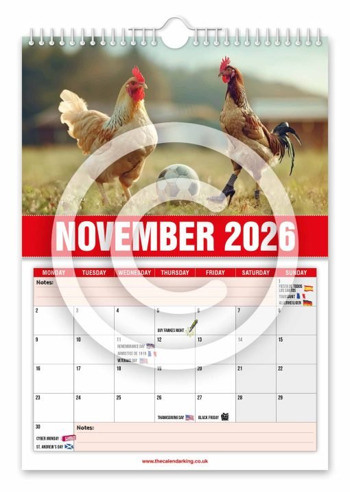 David Peckham Novelty Calendar - Image 12