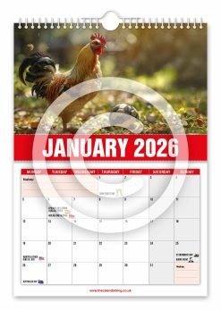 Alternative view of David Peckham Novelty Calendar