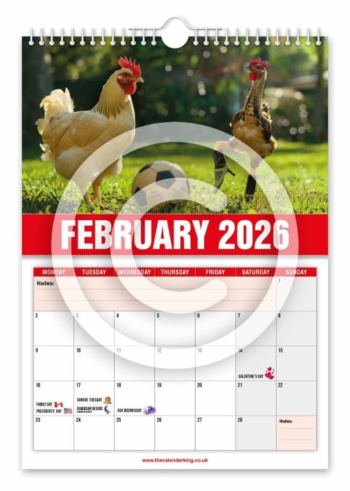 David Peckham Novelty Calendar - Image 3