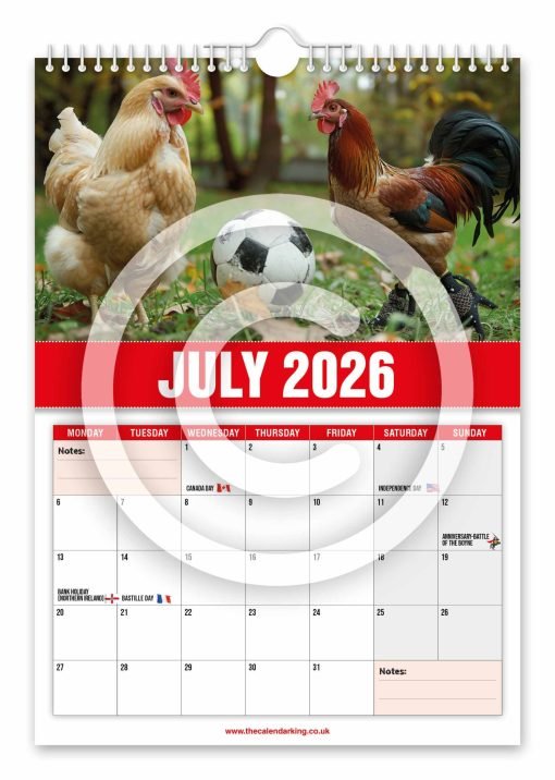 David Peckham Novelty Calendar - Image 8