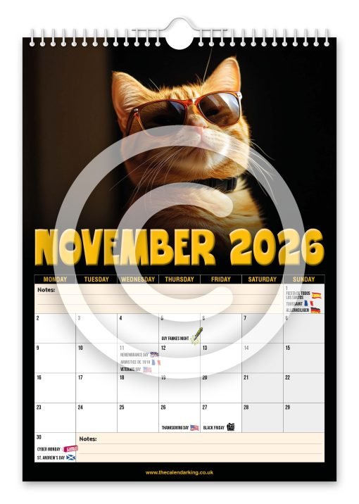 Cool Furr Cats Novelty Calendar - Image 12