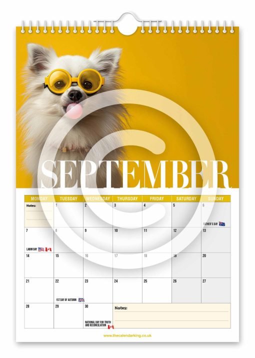 Dogue Novelty Calendar - Image 10