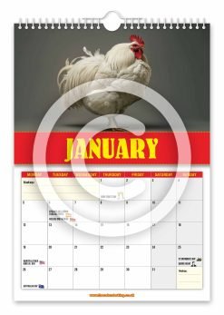 Alternative view of World's Biggest Cocks Novelty Calendar