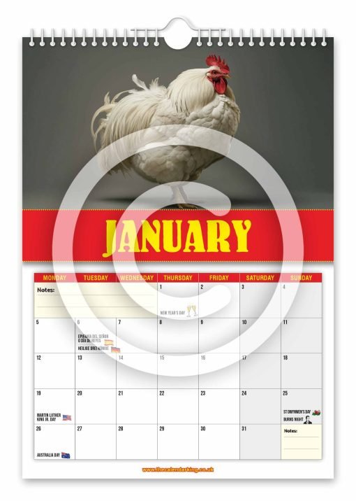 World's Biggest Cocks Novelty Calendar - Image 2