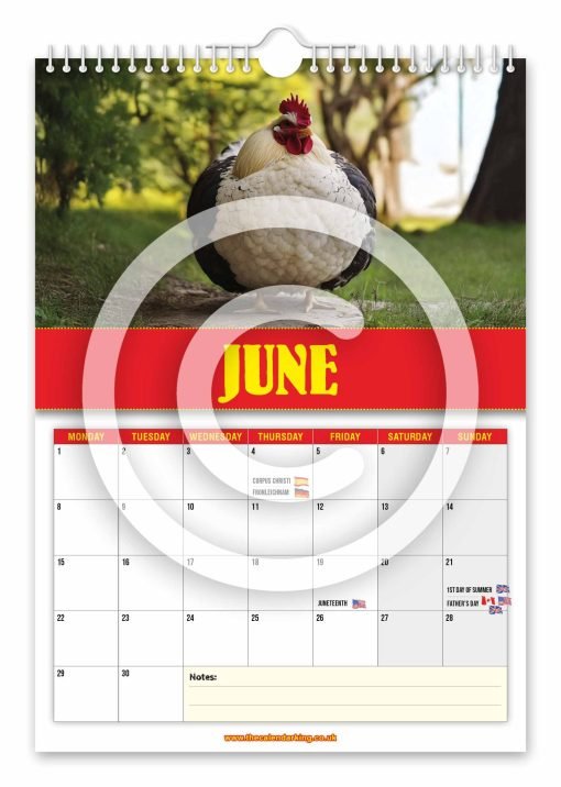 World's Biggest Cocks Novelty Calendar - Image 7
