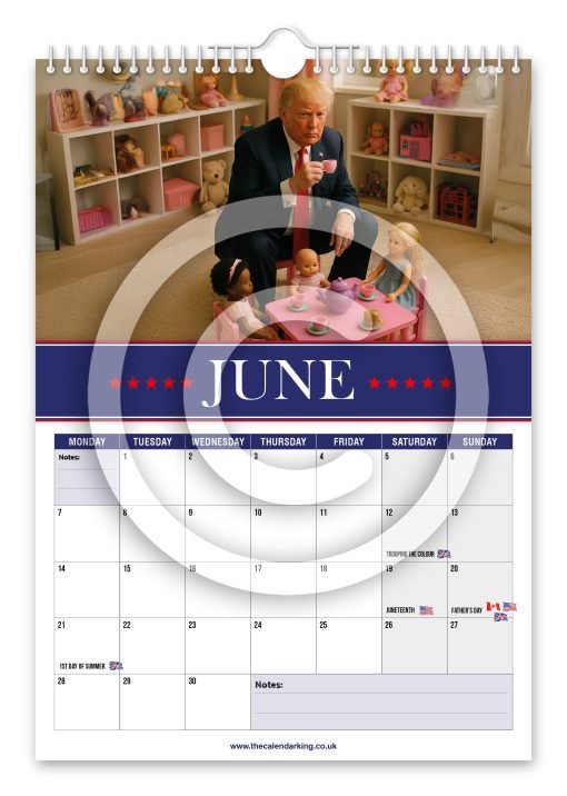 Donald Trump Novelty Calendar - Image 7
