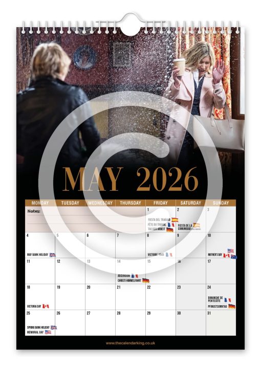 Rod Stewart Novelty Calendar - Image 6