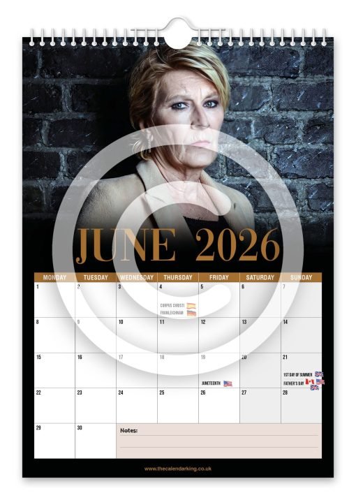 Rod Stewart Novelty Calendar - Image 7