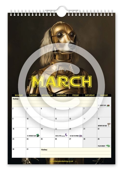 Star Paws Novelty Calendar - Image 4