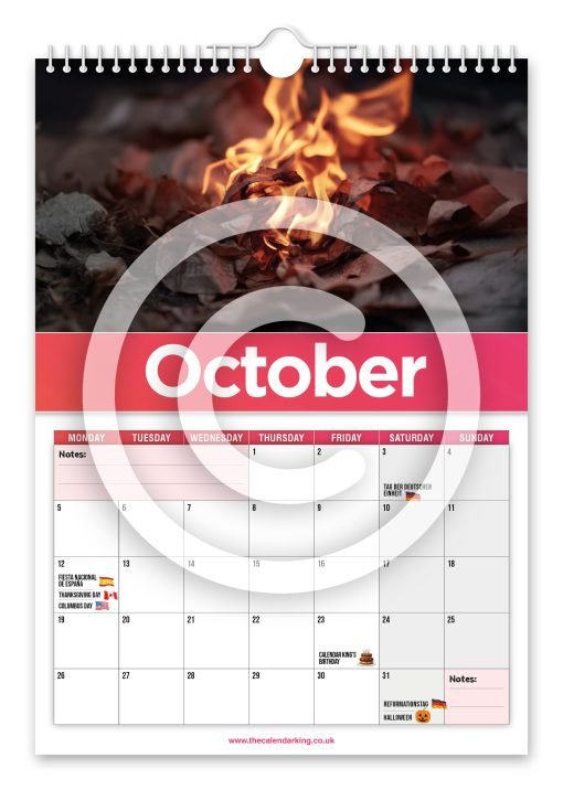 World's Best of Tinder Novelty Calendar - Image 11