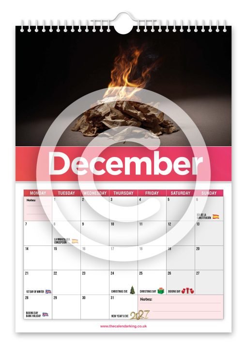World's Best of Tinder Novelty Calendar - Image 13