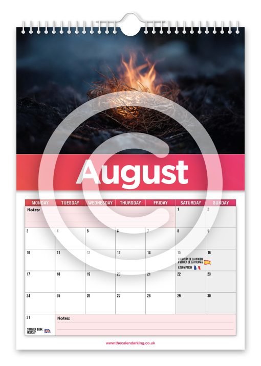 World's Best of Tinder Novelty Calendar - Image 9