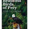 Beautiful Birds of Prey Novelty Calendar