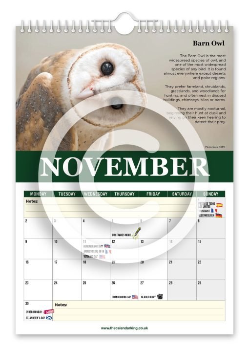 Beautiful Birds of Prey Novelty Calendar - Image 12