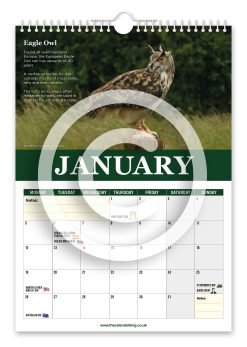 Alternative view of Beautiful Birds of Prey Novelty Calendar
