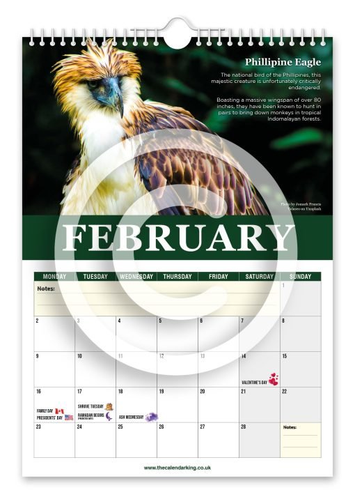 Beautiful Birds of Prey Novelty Calendar - Image 3