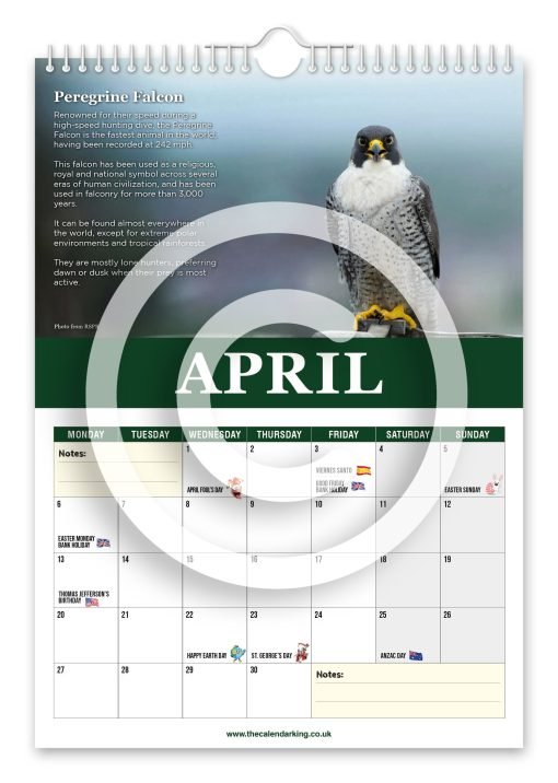 Beautiful Birds of Prey Novelty Calendar - Image 5