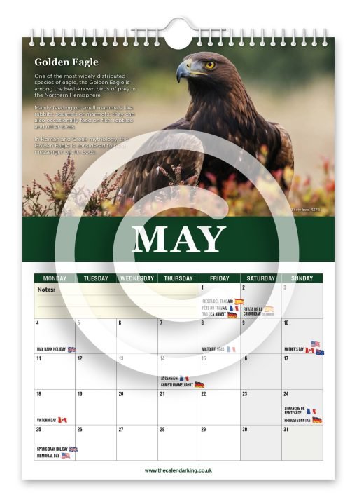 Beautiful Birds of Prey Novelty Calendar - Image 6