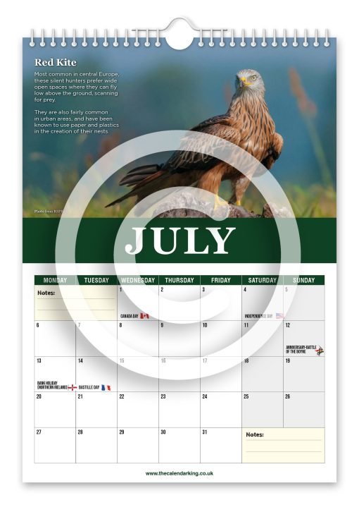 Beautiful Birds of Prey Novelty Calendar - Image 8