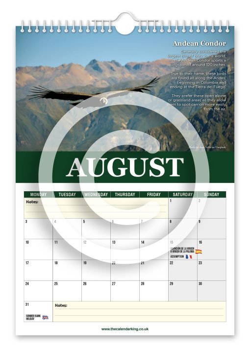 Beautiful Birds of Prey Novelty Calendar - Image 9