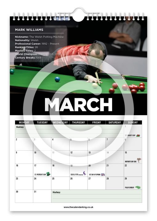 Snooker Legends Novelty Calendar - Image 4